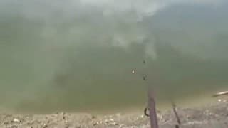 Verifique a sua idade