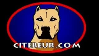 Dois homosexuais que gostam de sexo