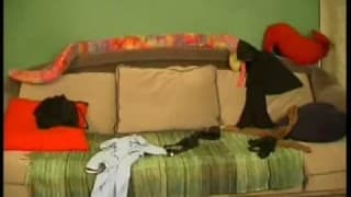 Verifique a sua idade