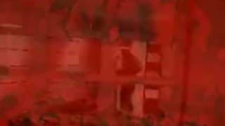 Verifique a sua idade