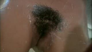 Árabe de pelo na buceta