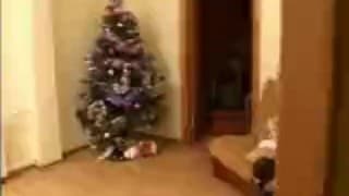 Verifique a sua idade