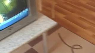 Adolescente tesuda adora pau!