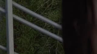 Verifique a sua idade