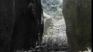 Verifique a sua idade