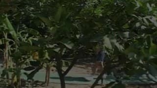 Verifique a sua idade