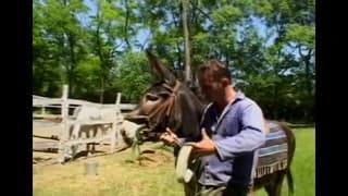 Laura Orsolya gosta de transar ao ar livre Laura Orsolya gosta de transar ao ar livre