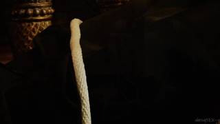 Aletta Ocean liberando pro seu amante