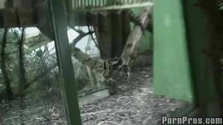 Um puta pau para gozada no rosto