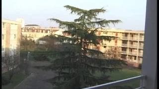 Verifique a sua idade