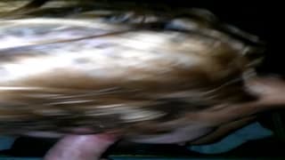 Uma mulher adora o cacete do seu homem