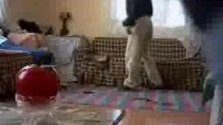 Um casal amador fodem no salão