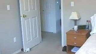 Se masaturba na webcam para se exibir