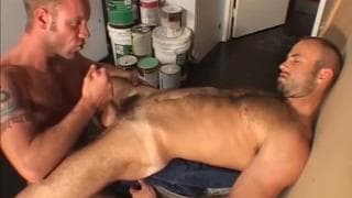 Homens peludos e musculosos fodem juntos