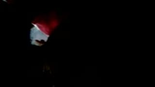 Uma bela amadora chupa uma bela rola!