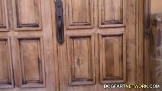 Casey Calvert num gangbang com negros! Casey Calvert num gangbang com negros!