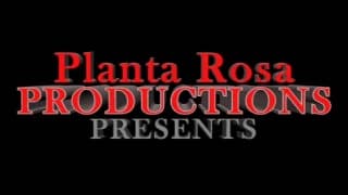 Dois pretos a usufruir