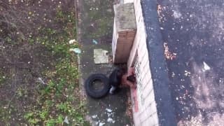 Casal amador apanhado a transar ao ar livre