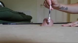 Um pénis que vai ser martirizado