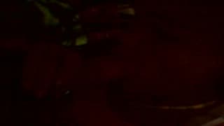 Ele é chupado por uma bela preta!