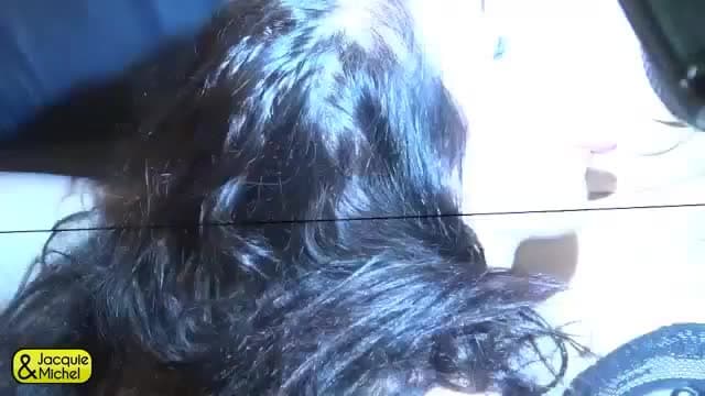 Verifique a sua idade