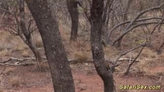 Verifique a sua idade