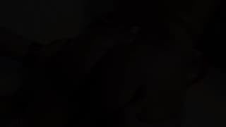 Verifique a sua idade