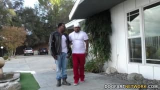 Verifique a sua idade