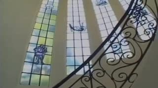 Verifique a sua idade