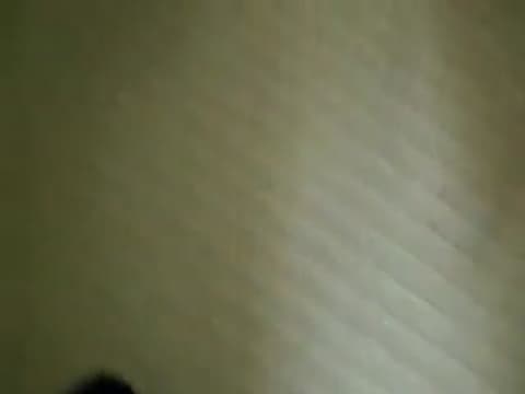 Verifique a sua idade