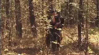 Verifique a sua idade