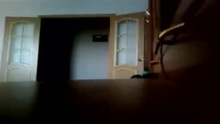 Verifique a sua idade