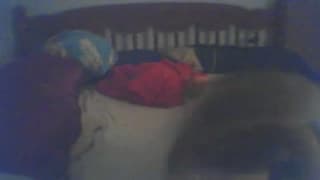 Verifique a sua idade