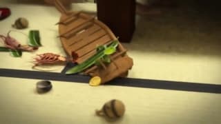 Verifique a sua idade