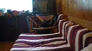 Verifique a sua idade