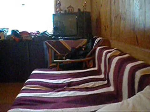 Verifique a sua idade