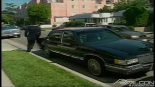 Verifique a sua idade