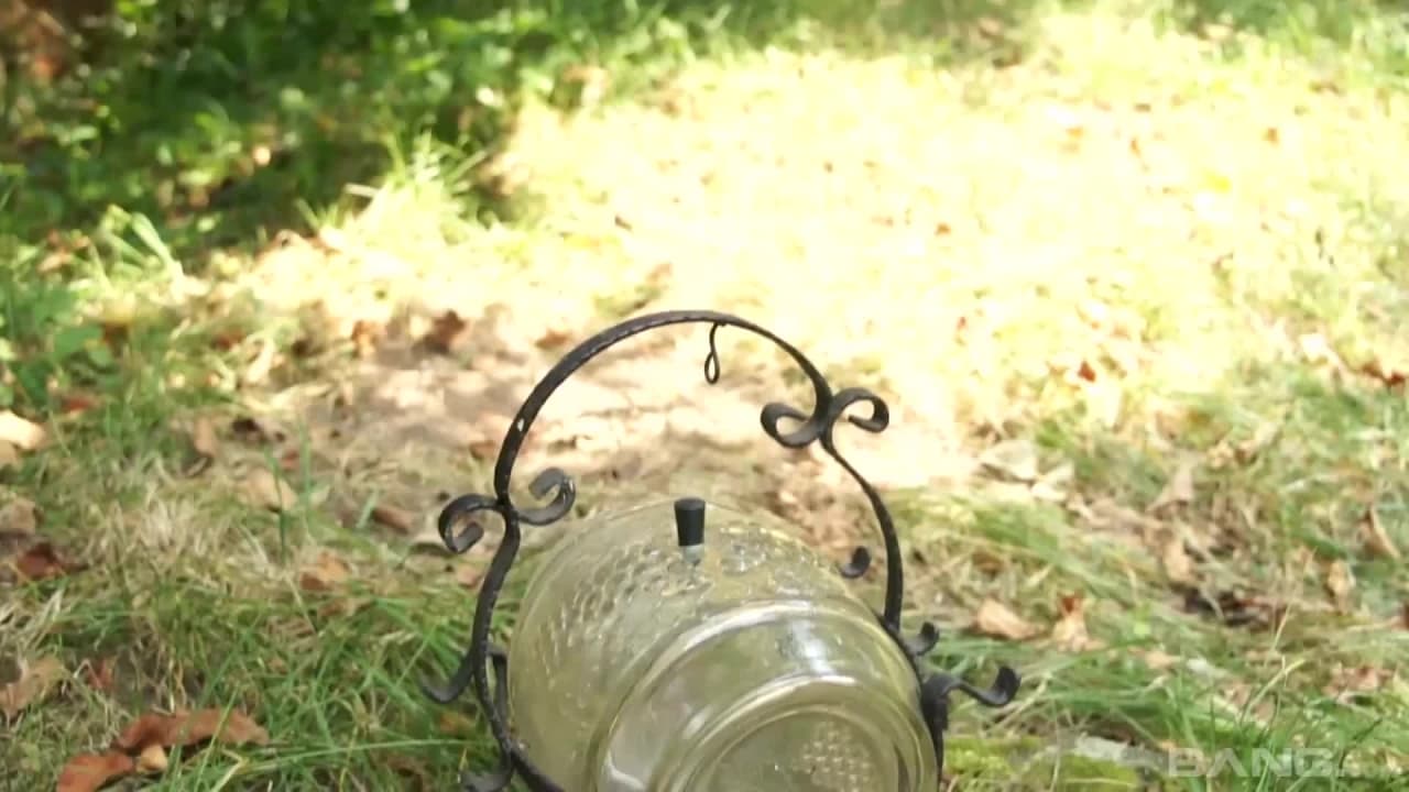 Verifique a sua idade