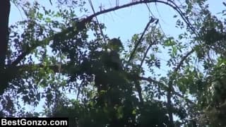 Verifique a sua idade