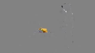 Verifique a sua idade