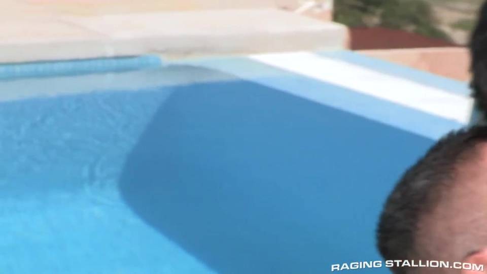 Verifique a sua idade