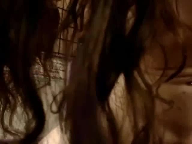 Verifique a sua idade