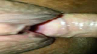 Ela se masturba mostrando sua boceta humida