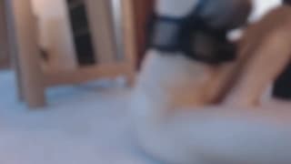 Verifique a sua idade