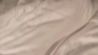 Verifique a sua idade