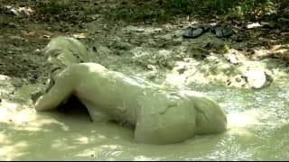 O mais excitante é ver uma garota tomando banho na lama dessa maneira O mais excitante é ver uma garota tomando banho na lama dessa maneira