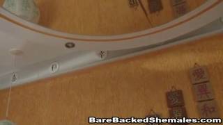 Verifique a sua idade