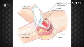 How2fuck : 50 técnicas para comer bem uma gatinha