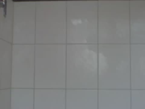 Verifique a sua idade