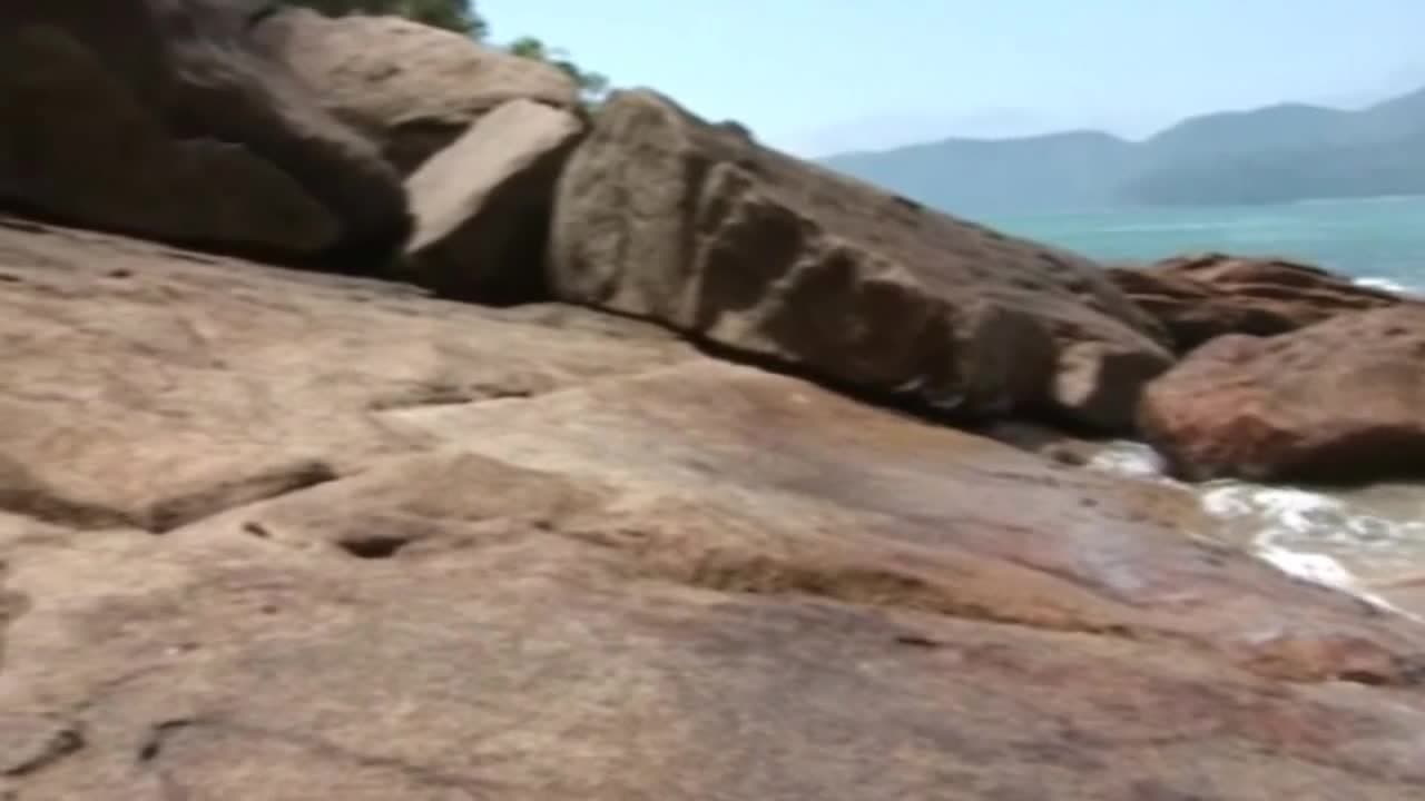 Verifique a sua idade